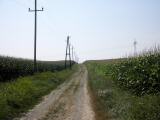  Wanderroute nach Thalheim 