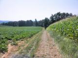  Wanderroute nach Thalheim 