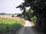  Wanderroute nach Thalheim 
