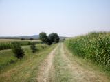  Wanderweg nach Rapoltendorf 