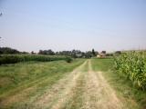  Wanderweg nach Rapoltendorf 
