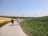  Wanderroute auf der Strae bei Rapoltendorf 