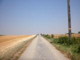 Wanderroute durch die Riede "Stierschweiffeld" 