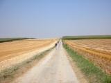  Wanderroute durch die Riede "Stierschweiffeld" 