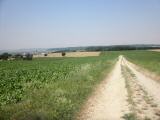  Wanderweg am Hhenrcken des Halterberg 
