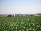  Fernblick nach Obermiesting 