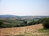  schner Fernblick Richtung Mauterheim 