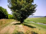  Wanderroute entlang der Perschling 