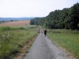  leicht bergab vom Hausberg 