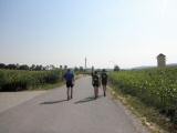  Marathonis am Ortsrand von Obermiesting 