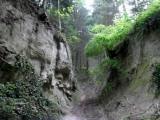 Wanderweg bergan durch einen engen Graben 