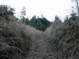  Natur pur 