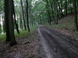  Wanderroute auf schnen Waldwegen 