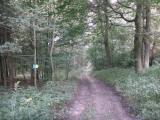  Wanderroute auf schnen Waldwegen 