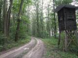  Wanderroute auf schnen Waldwegen 