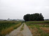  Wanderweg nach Adletzberg 