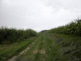  Wanderweg leicht bergan 