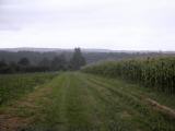 Wanderweg zum Gutenbrunner Graben 