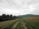  Wanderweg Richtung Eggendorf 