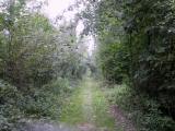  schner Wanderweg durch die Au 