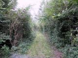  schner Wanderweg durch die Au 