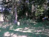  1. Streckenteilung 