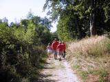  Wanderroute auf schnen Waldwegen 