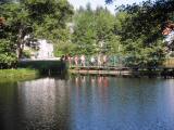  Steg ber den Saubach-Teich 