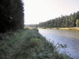   Wanderweg entlang des groem Gamsbach- Teichs 