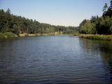  Blick ber den nrdlichen Gamsbach Teich 