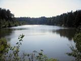  Blick ber den sdlichen Gamsbach Teich 