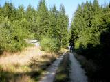  Wanderroute auf schnen Waldwegen 