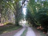  Wanderroute auf schnen Waldwegen 