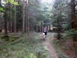 Wanderroute auf schnen Waldwegen 