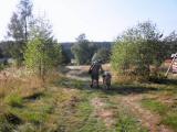  Wanderroute kurz vor Alt-Nagelberg 