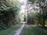  Wanderroute durch die Kampau bei Hadersdorf 