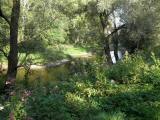  Blick zum Kamp 