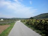  Wanderroute Richtung Zbing 