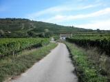  Wanderroute zu den Weinrieden des Heiligenstein 