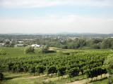  Fernblick nach Langenlois 