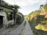  Wanderroute durch die Kellergasse Richtung Kammern 