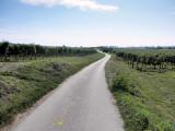  Wanderroute durch die Weinrieden "Lamm" 