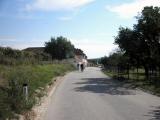 Wanderroute entlang der Langenloiserstrae bei Stra im Straertale