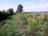  Wanderweg entlang des Gschinzbachs 