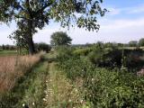  Wanderweg entlang des Gschinzbachs 