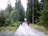  Wanderroute auf schnen Forstwegen 