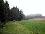  Wanderweg kurz nach der Streckenteilung 