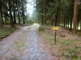  Wanderroute auf schnen Waldwegen 