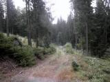  Wanderroute auf schnen Waldwegen 