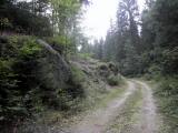  Wanderroute auf schnen Waldwegen 